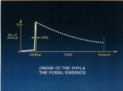 The Cambrian Explosion: 0 to 60 in a few million years