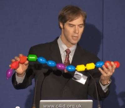 A sequence of amino acids forming a protein