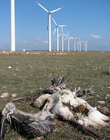 This is business as usual for the Democrat Party