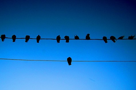 Dissent, disagreement, conscience and religious liberty