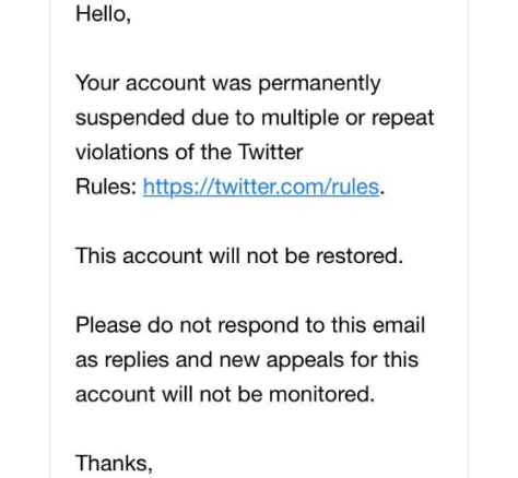 Twitter bans another conservative with no previous violations