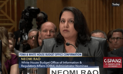 Court of Appeals nominee Neomi Rao