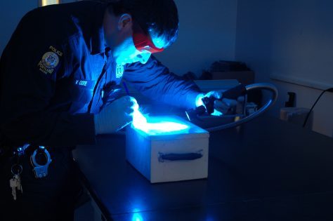 Policeman investigates crime scene for evidence