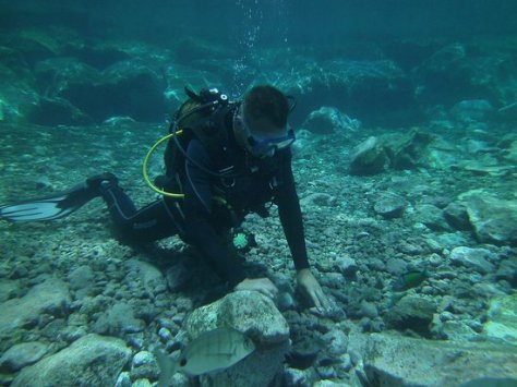 Let's take a deep dive into the Bible