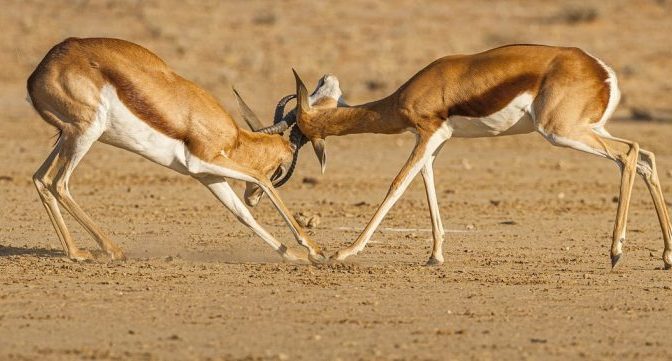 William Lane Craig debates Daniel Came: Does God exist?