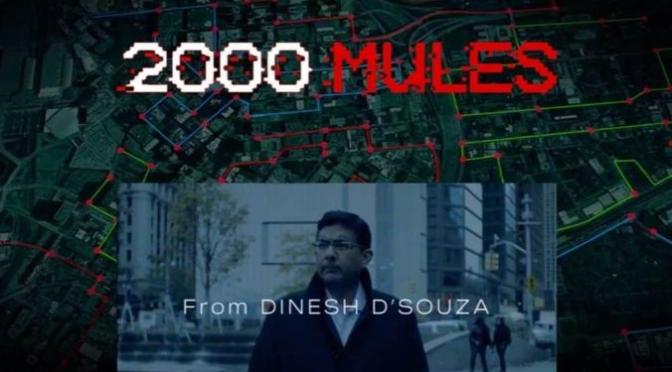 2000 Mules Movie