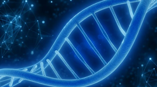 DNA Intelligent Design Evidence