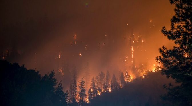 Global warming Climate Change Wildfires Eco-Terrorism