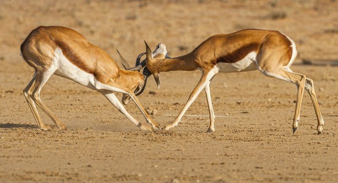 William Lane Craig’s moral argument, and five objections to it